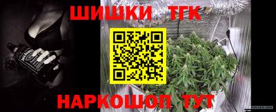 прущие грибы Можга