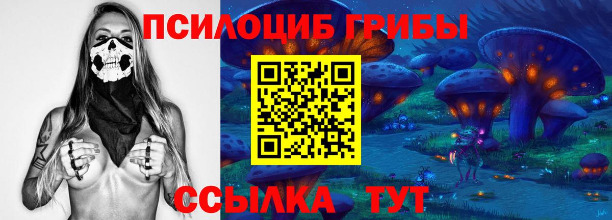 Псилоцибиновые грибы MAGIC MUSHROOMS Тында