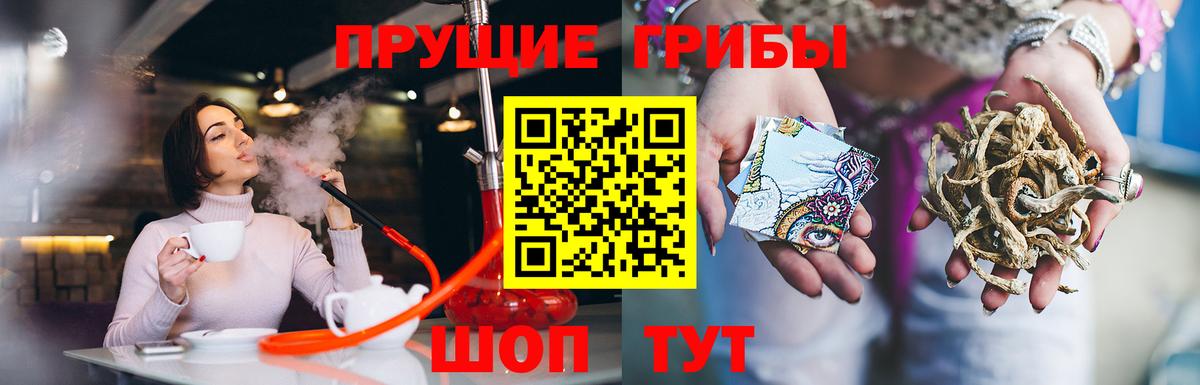 Галлюциногенные грибы мицелий  Вход с VPN  Тында 